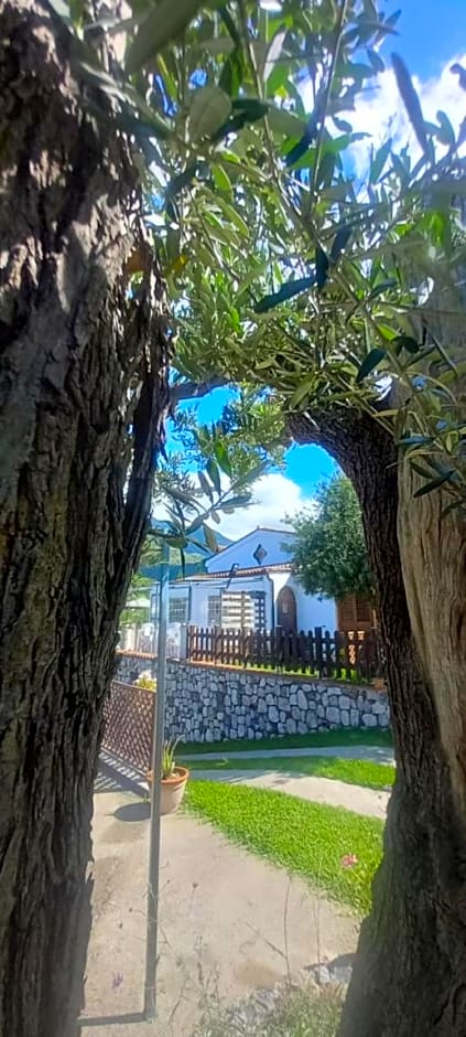 B&B da Maria Teresa - Maratea