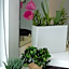 FlowSuites Polanco