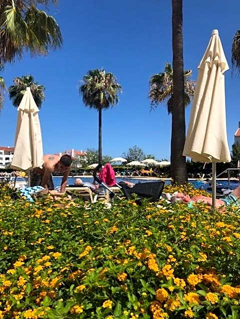 Semanas 30 e 24 Vila Galé Cerro Alagoa