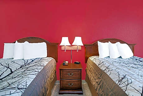 Double Room with Two Double Beds - Smoking