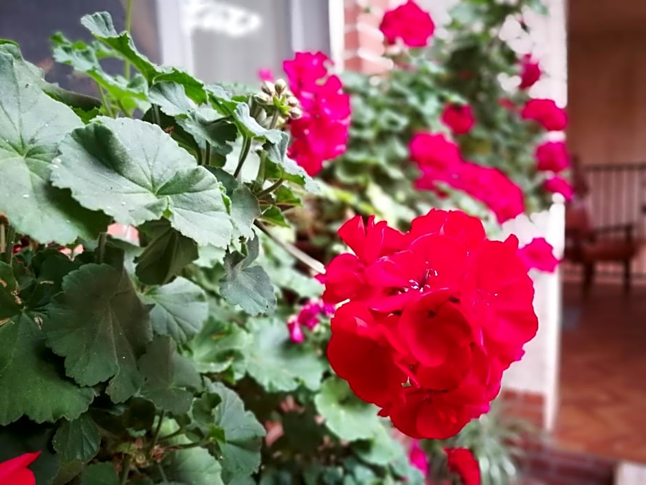 B&B Leggieri Villa Siria