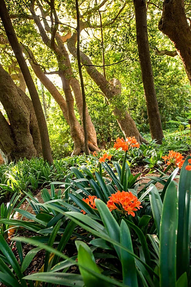 The Cellars-Hohenort