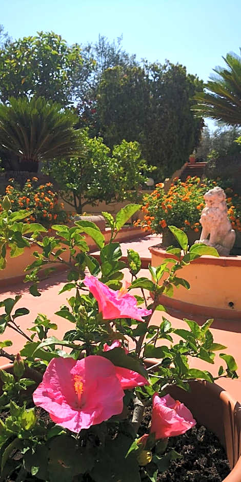 Hotel Villa Igea
