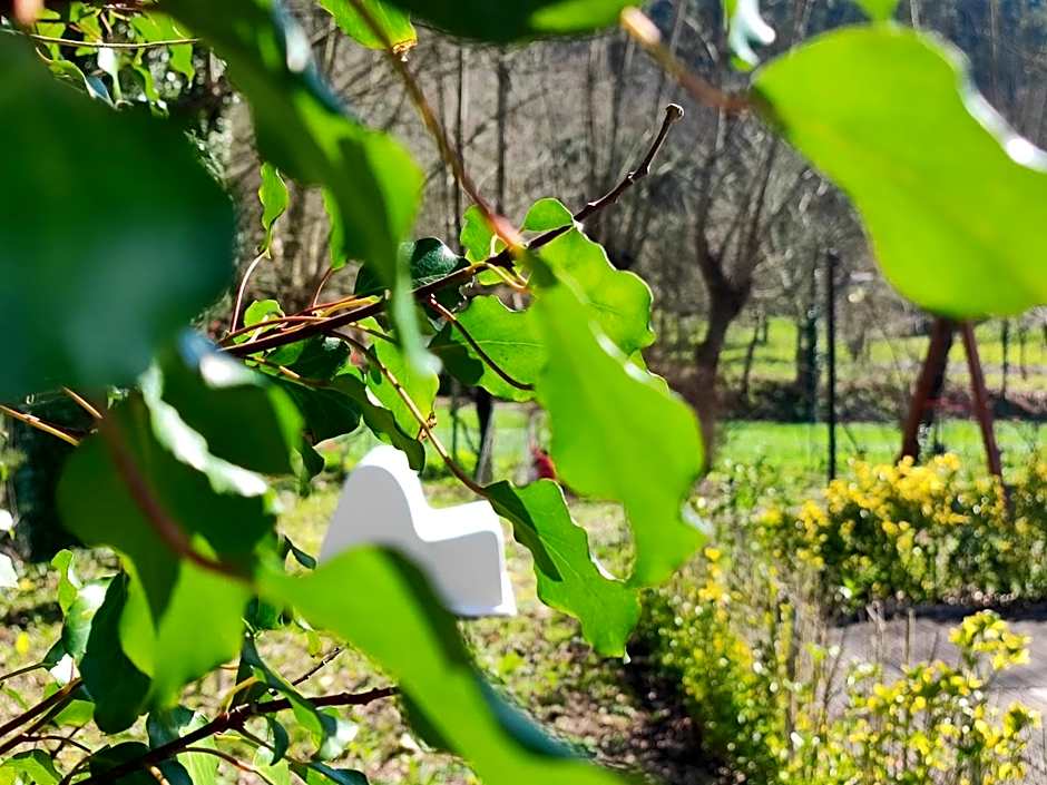 Agroturismo Quinta De Travancela