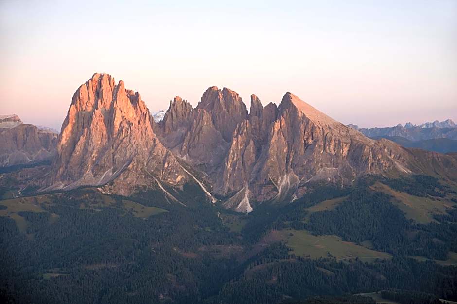 AppartChalet LA RONDULA - 100m from Seceda