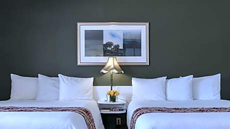Queen Suite