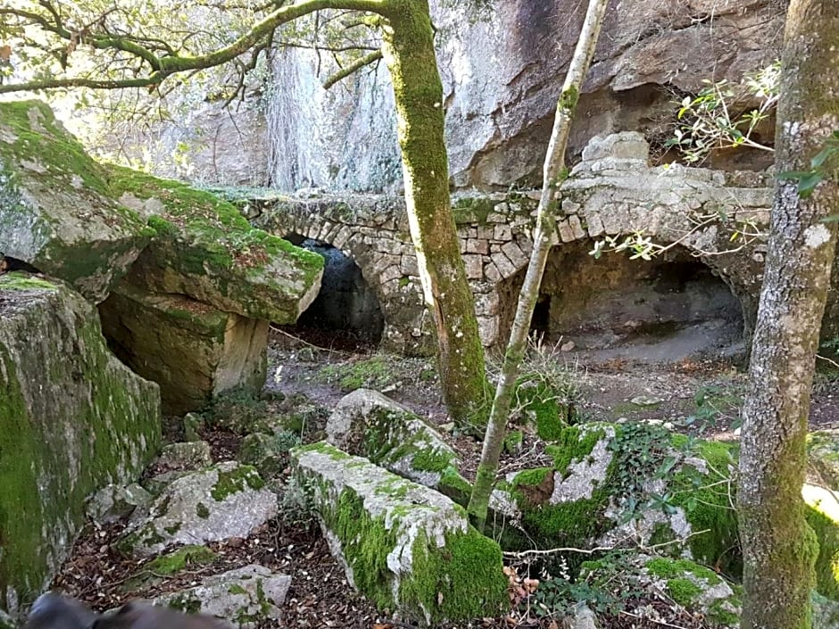 Le Clos du Cèdre