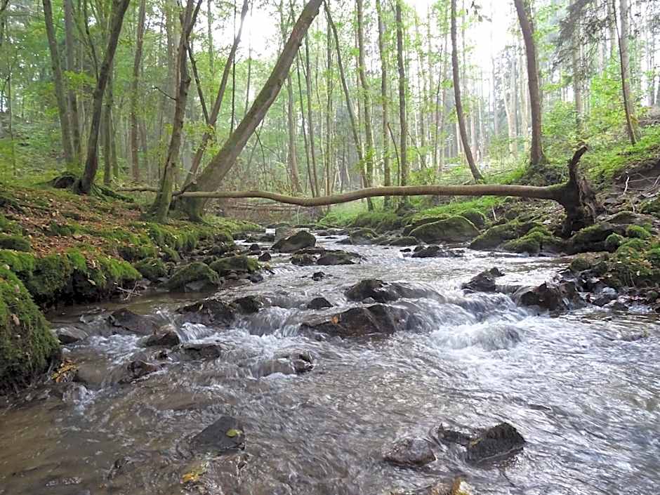 Apparthotel Alte Innbrücke-24Std-Self-Check in-Haustiere Willkommen