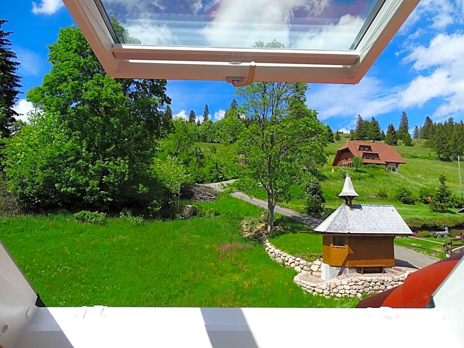 Schwarzwald-Hotel Kraeutle