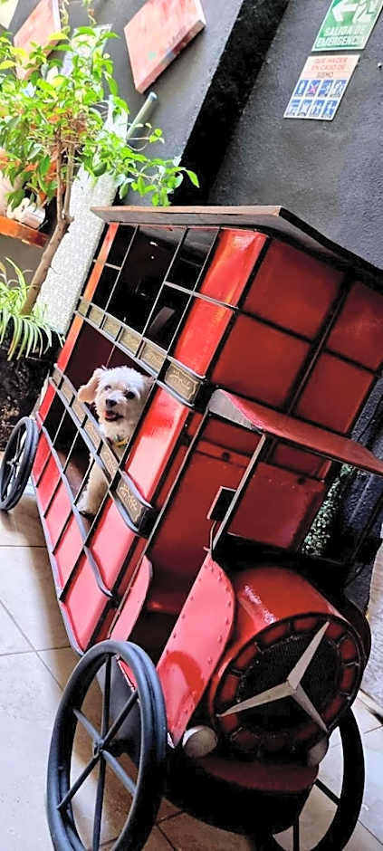 MINI HOTEL San Luis Potosí