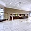 Holiday Inn St. Petersburg N - Clearwater By IHG