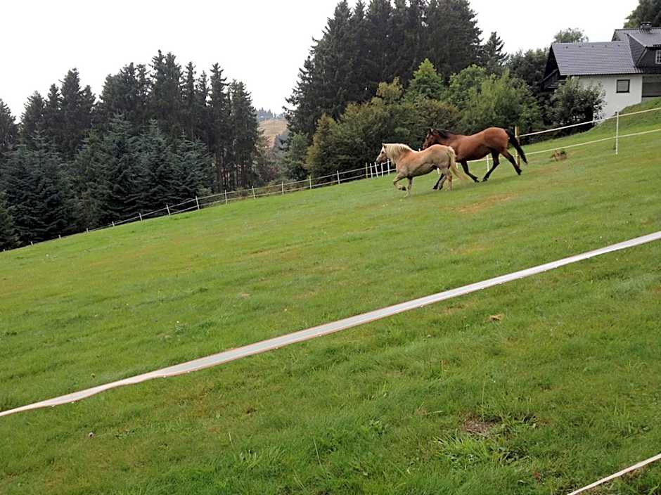 Appart-Hotel Harmonie