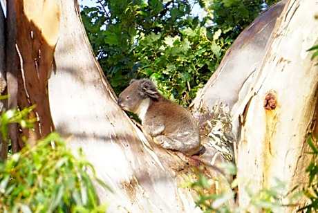 Double Room with Private External Bathroom
