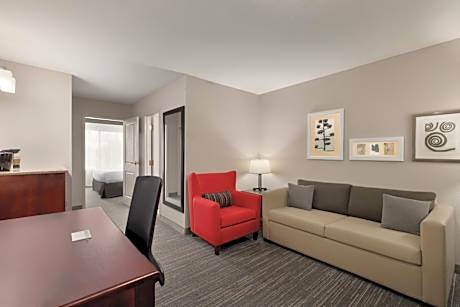 One-Bedroom King Suite with Sofa Bed - Non-Smoking