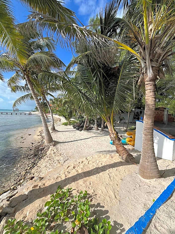 Casa Cenote Hotel