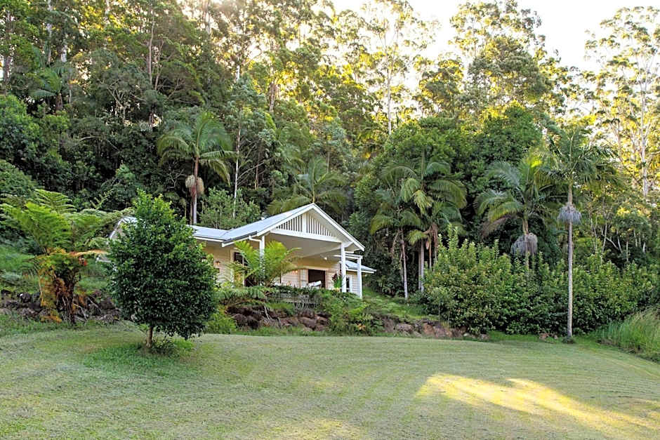Nightcap Ridge - Byron Bay Hinterland