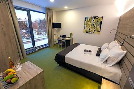 Superior Double or Twin Room with Castle View