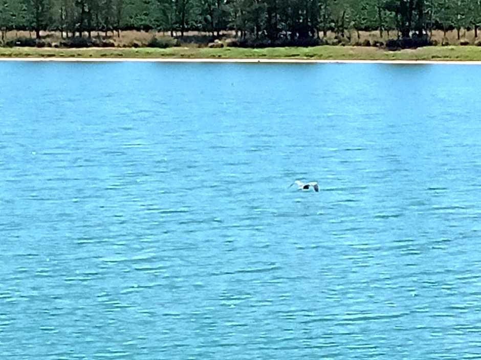 Rancho Rio Dourado, um paraíso!