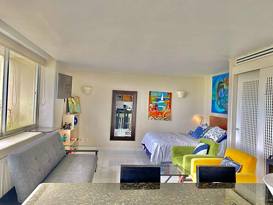 Elegant Beachfront Studio in Monarca Ixtapa