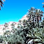 RIAD Camping ATLAS