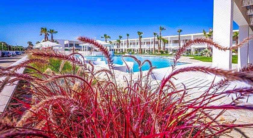 Marelive - CDSHotels