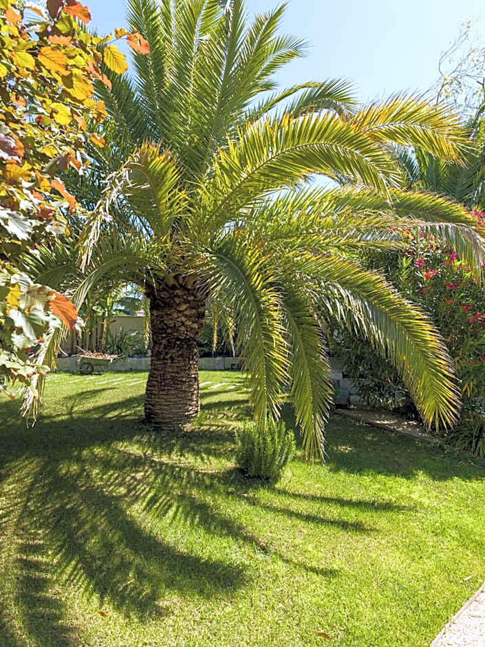Hotel l'Amandiere
