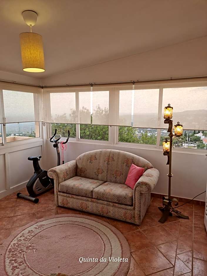 Villa Quinta da Violeta