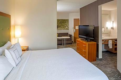 King Suite with Sofa Bed