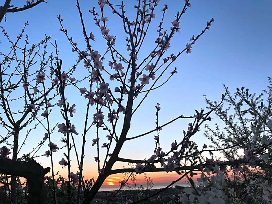 Alfazema Sunset House