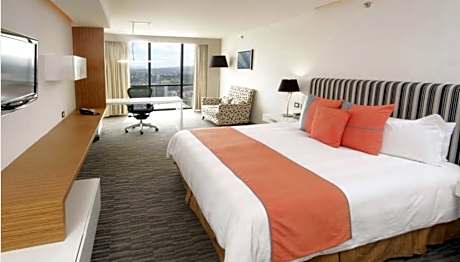 Deluxe King Bed