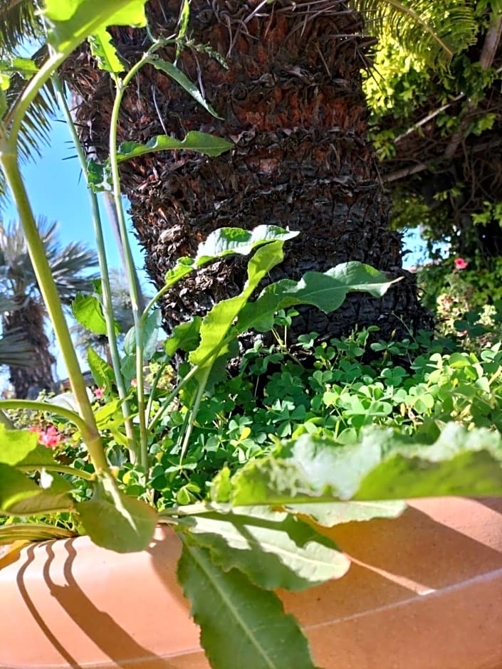 Tettoeletto Garden Bio