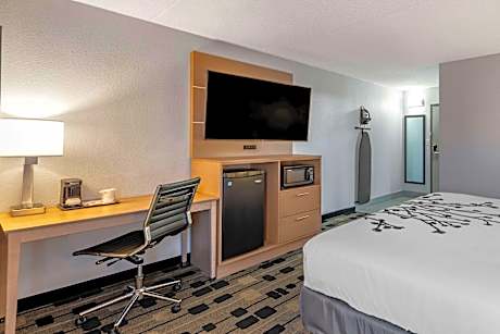 1 King Bed, Nonsmoking, Accessible