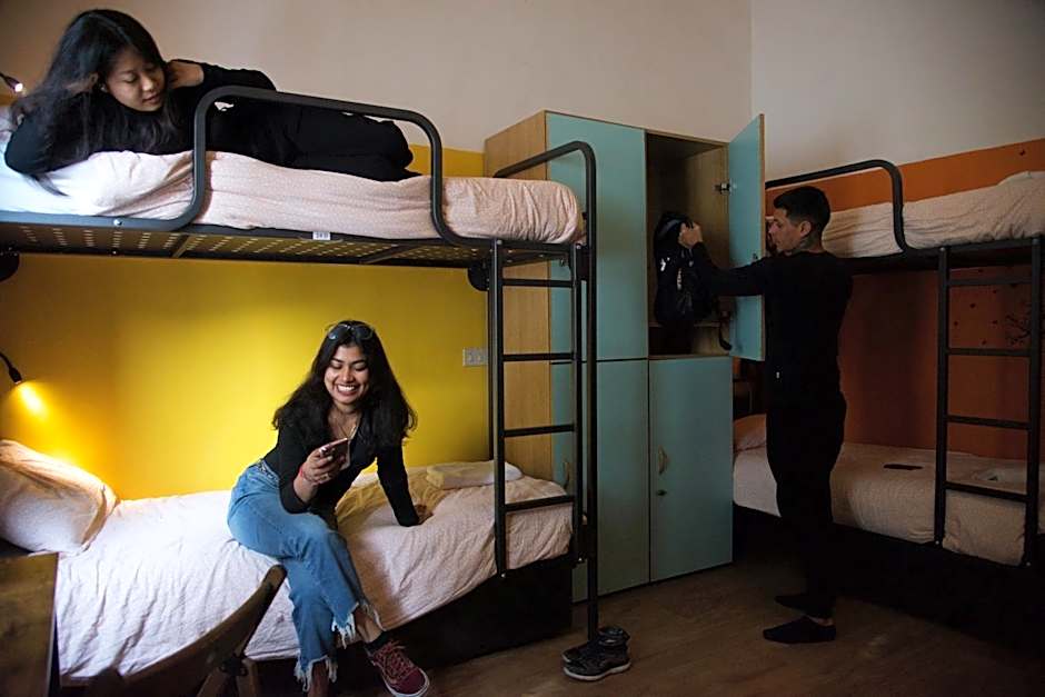 Sunflower City Student Hostel & Bar