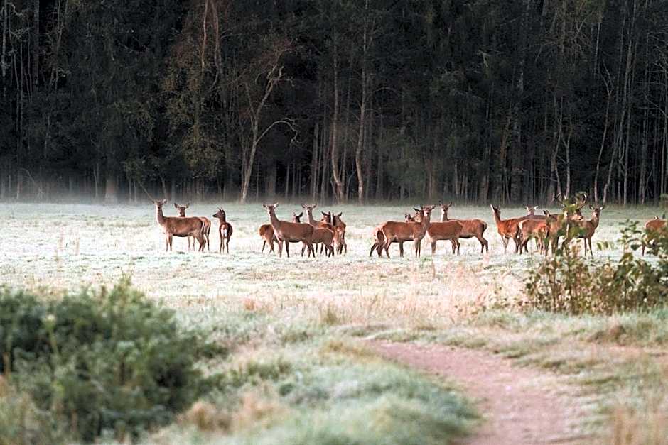 Toosikannu Nature Resort & Hotel