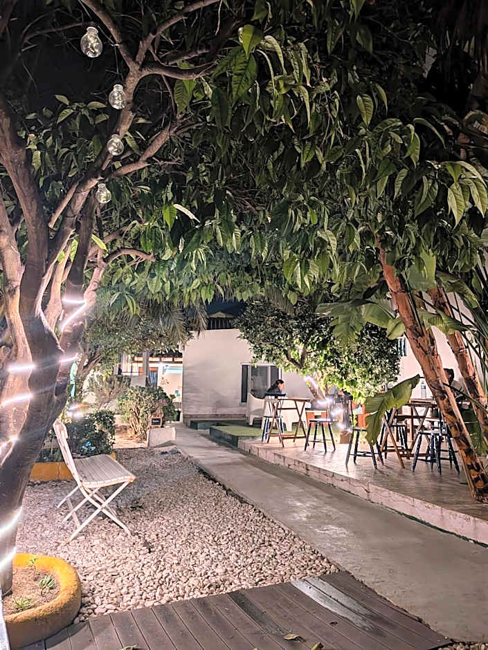 Orange3 Hostel