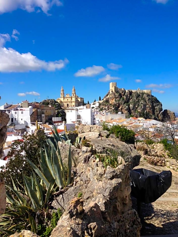 No 31 Bed & Breakfast