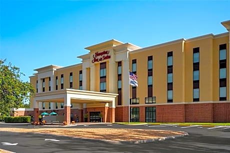 Hampton Inn and Suites by Hilton Tampa Busch Gardens Area
