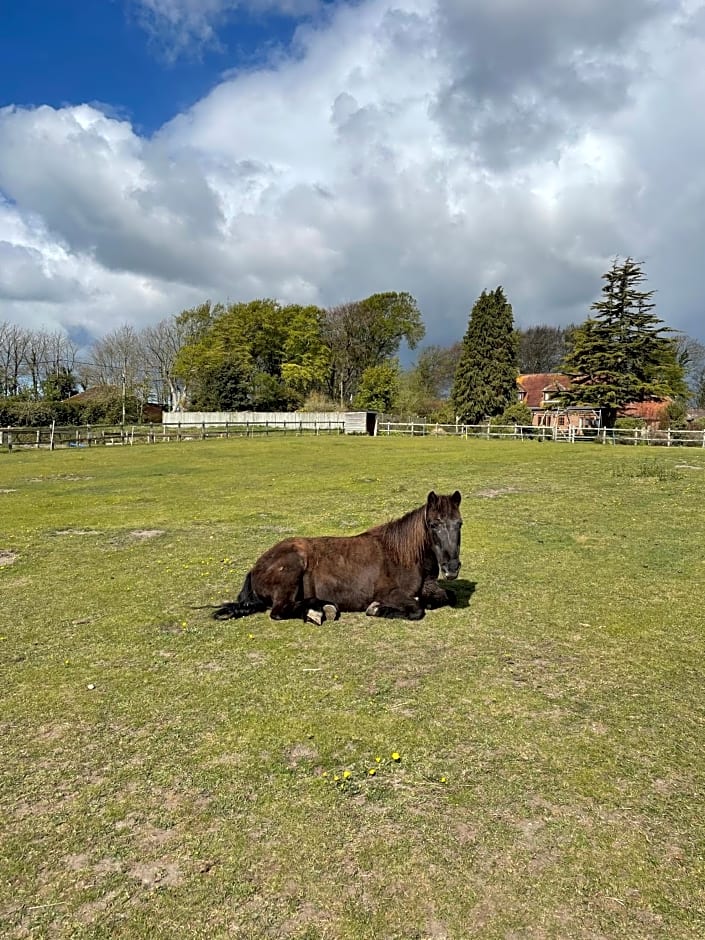 Wynards Farm Sunset room