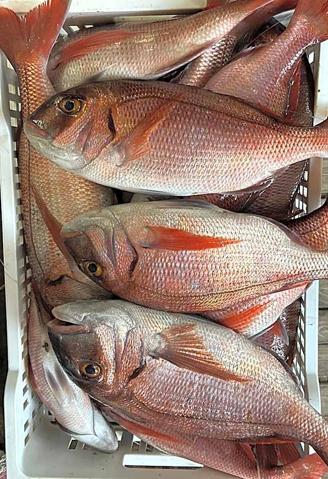 Hôtel Restaurant Petra Cinta