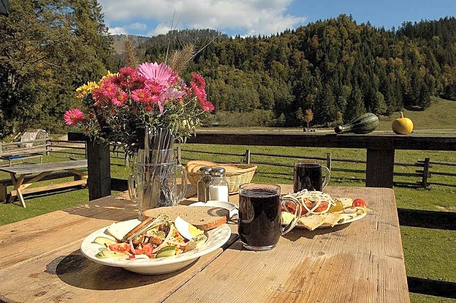 Hotel Garni Landhaus Traunbachhäusl