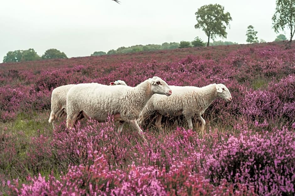 Veluwe Hotel de Beyaerd