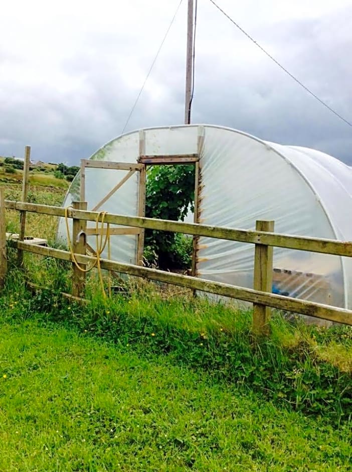 Holland House F94DP26