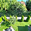 Hotel Villa Solln
