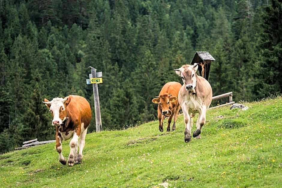 HENRI Hotel Garmisch-Partenkirchen