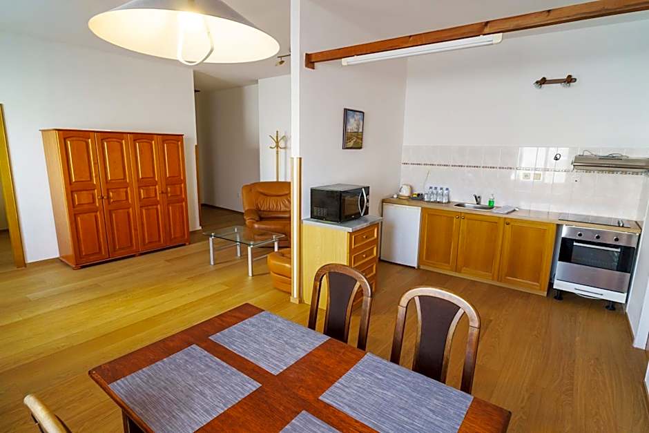 Hotel U Labutě