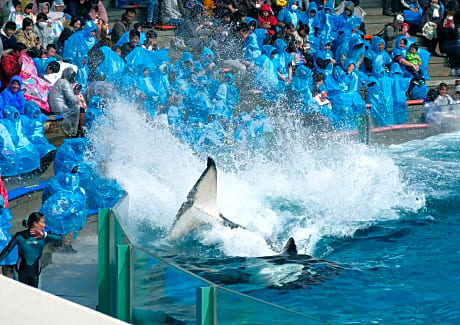 Kamogawa Sea World Hotel