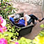 Inn The Garden
