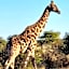 Gamagara Africa Private Nature Reserve