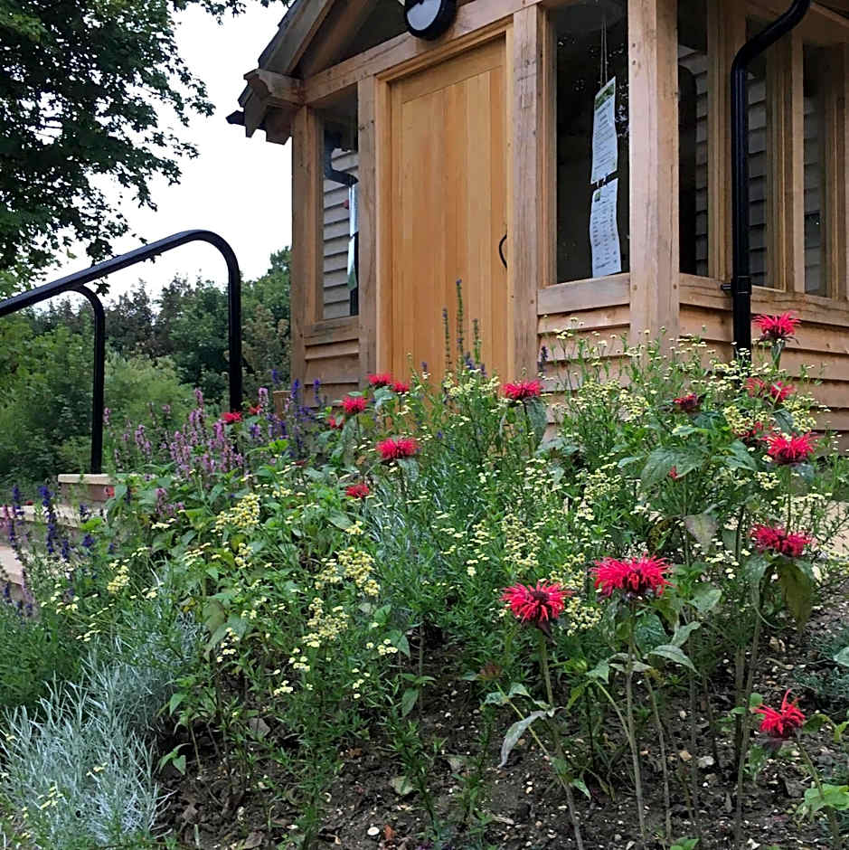 South Downs Eco Lodge & Camping