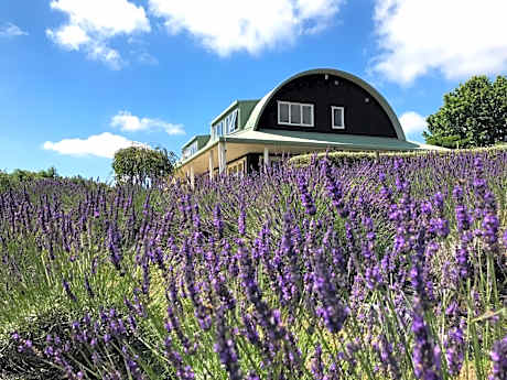 Lavender Hill